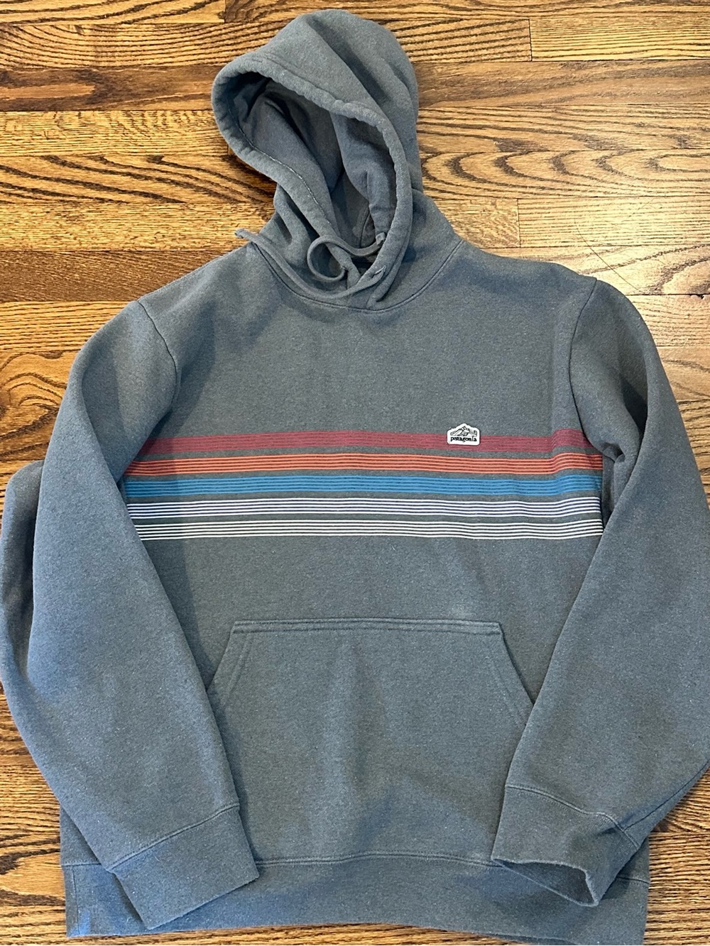 Patagonia Gray Hoodie with Multicolor Chest Stripes